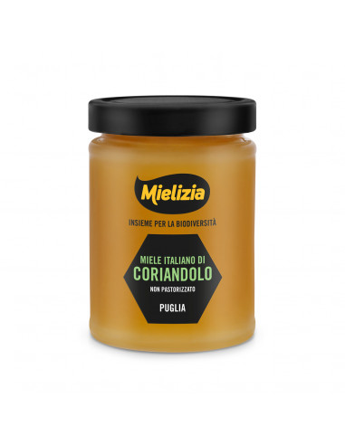 Miele di Coriandolo Vasetto 400g