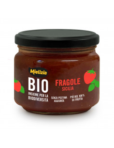 Composta biologica di Fragole Vasetto 250g
