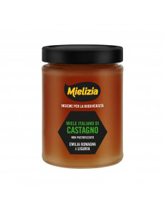 Miele di Castagno Vasetto 400g