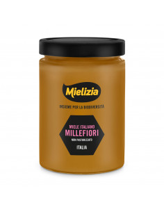 Miele italiano di Millefiori Vasetto 700g