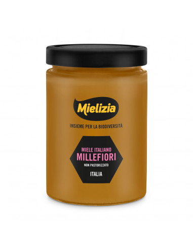 Wildflower Honey - 700g Jar