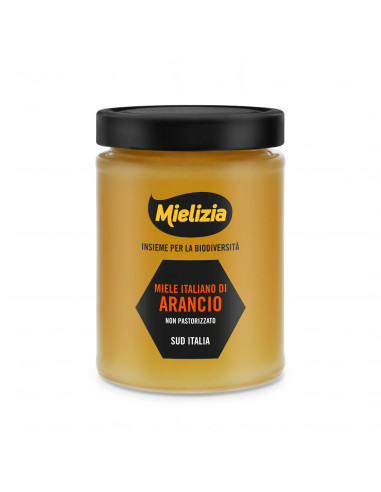 Miele di Arancio Vasetto 400g