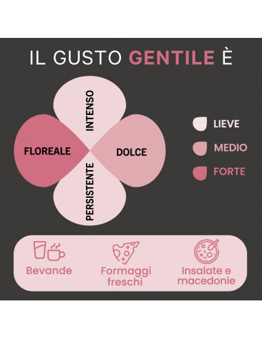 Selezione "Gentile" - Delicate flavour - Italian honey - 300g Jar
