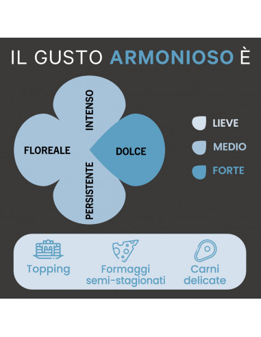 Selezione "Armonioso" - Well-balanced flavour - Italian honey - 300g Jar
