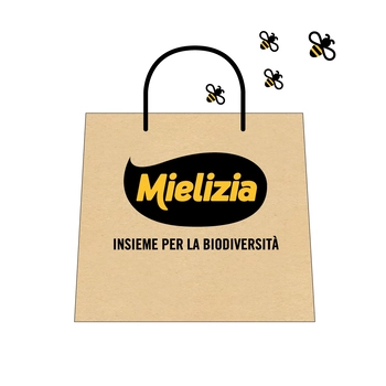 Le nostre offerte